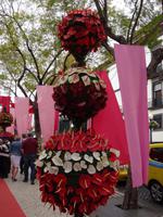 Funchal am Vortag des Festumzuges &ndash; &copy; Hans-Joachim Trutz (Eberhardt TRAVEL)