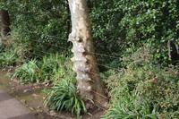 in Blandy's Garten &ndash; &copy; Detlef May (Eberhardt TRAVEL)