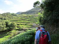 Levada von Marocos &ndash; &copy; Josefin Keilwagen (Eberhardt TRAVEL)