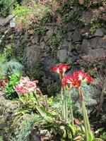 IMG_0231.JPG &ndash; &copy; Josefin Keilwagen (Eberhardt TRAVEL)