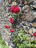 IMG_0231.JPG &ndash; &copy; Josefin Keilwagen (Eberhardt TRAVEL)