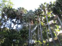 IMG_0231.JPG &ndash; &copy; Josefin Keilwagen (Eberhardt TRAVEL)