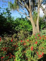 IMG_0231.JPG &ndash; &copy; Josefin Keilwagen (Eberhardt TRAVEL)