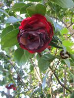 IMG_0231.JPG &ndash; &copy; Josefin Keilwagen (Eberhardt TRAVEL)