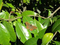 IMG_0231.JPG &ndash; &copy; Josefin Keilwagen (Eberhardt TRAVEL)