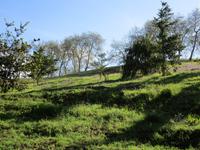 IMG_0231.JPG &ndash; &copy; Josefin Keilwagen (Eberhardt TRAVEL)