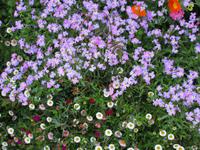 IMG_0231.JPG &ndash; &copy; Josefin Keilwagen (Eberhardt TRAVEL)