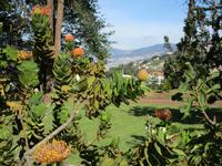 IMG_0231.JPG &ndash; &copy; Josefin Keilwagen (Eberhardt TRAVEL)