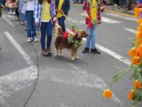 IMG_0231.JPG &ndash; &copy; Josefin Keilwagen (Eberhardt TRAVEL)
