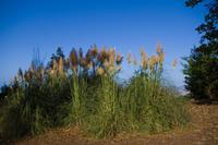 Palheiro Gardens &ndash; &copy; Katharina Kurianowski (Eberhardt TRAVEL)