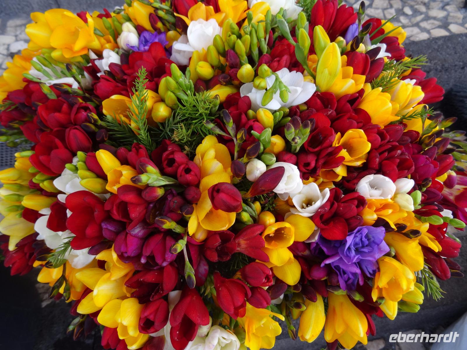 Markthalle in Funchal  &ndash; &copy; Hans-Joachim Trutz (Eberhardt TRAVEL)