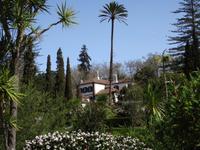 Quinta do Palheiro  &ndash; &copy; Hans-Joachim Trutz (Eberhardt TRAVEL)