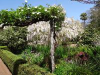 Quinta do Palheiro  &ndash; &copy; Hans-Joachim Trutz (Eberhardt TRAVEL)