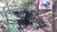 Ribeiro Frio, kurze Levada Wanderung zum Aussichtspunkt „Balcões“ &ndash; &copy; Gisela Gerlach (Eberhardt TRAVEL)