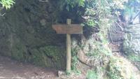 Ribeiro Frio, kurze Levada Wanderung zum Aussichtspunkt „Balcões“ &ndash; &copy; Gisela Gerlach (Eberhardt TRAVEL)