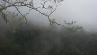 Ribeiro Frio, kurze Levada Wanderung zum Aussichtspunkt „Balcões“ &ndash; &copy; Gisela Gerlach (Eberhardt TRAVEL)