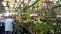 Quinta Boa Vista Orchidea &ndash; &copy; Gisela Gerlach (Eberhardt TRAVEL)