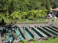 Ribeiro Frio &ndash; &copy; Hans-Joachim Trutz (Eberhardt TRAVEL)