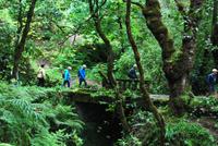 Levadawanderung &ndash; &copy; Eric Richter (Eberhardt TRAVEL)