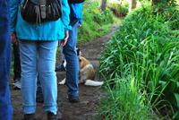 Levadawanderung &ndash; &copy; Eric Richter (Eberhardt TRAVEL)