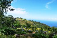 Palheiro Garten &ndash; &copy; Eric Richter (Eberhardt TRAVEL)