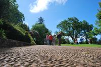 Palheiro Garten &ndash; &copy; Eric Richter (Eberhardt TRAVEL)