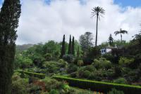 Palheiro Garten &ndash; &copy; Eric Richter (Eberhardt TRAVEL)