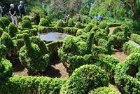 Palheiro Garten &ndash; &copy; Eric Richter (Eberhardt TRAVEL)