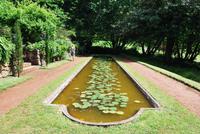 Palheiro Garten &ndash; &copy; Eric Richter (Eberhardt TRAVEL)