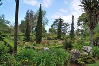Palheiro Garten &ndash; &copy; Eric Richter (Eberhardt TRAVEL)