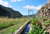 Levada &ndash; &copy; Eric Richter (Eberhardt TRAVEL)