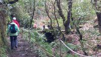 Levadawanderung Furado-hin zum Aussichtspunkt Balcoese &ndash; &copy; Gisela Gerlach (Eberhardt TRAVEL)