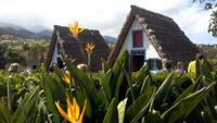 Santana-Casas de Colmo &ndash; &copy; Gisela Gerlach (Eberhardt TRAVEL)