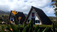 Santana-Casas de Colmo &ndash; &copy; Gisela Gerlach (Eberhardt TRAVEL)
