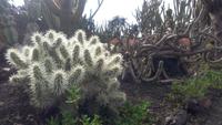 Funchal- Botanischer Garten &ndash; &copy; Gisela Gerlach (Eberhardt TRAVEL)