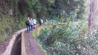 Entlang der Levada von Marocos &ndash; &copy; Gisela Gerlach (Eberhardt TRAVEL)