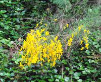 Blumen 5 &ndash; &copy; Martina Häselbarth (Eberhardt TRAVEL)