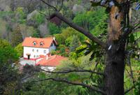 Häuschen im Grünen  &ndash; &copy; Martina Häselbarth (Eberhardt TRAVEL)