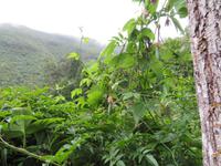 18-Balcoes &ndash; &copy; Lena Rautenberg (Eberhardt TRAVEL)