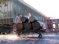 50-Weinfest &ndash; &copy; Lena Rautenberg (Eberhardt TRAVEL)