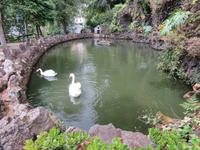 68-Park in Monte &ndash; &copy; Lena Rautenberg (Eberhardt TRAVEL)