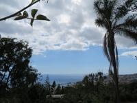 72-Blick vom Botanischen Garten &ndash; &copy; Lena Rautenberg (Eberhardt TRAVEL)