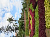 91-Botanischer Garten von Funchal2 &ndash; &copy; Lena Rautenberg (Eberhardt TRAVEL)