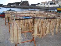 Câmara de Lobos &ndash; &copy; Jacob Spangenberg (Eberhardt TRAVEL)