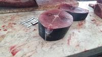 Funchal - Besuch der Markthalle (Thunfisch) &ndash; &copy; Katrin Deutschbein (Eberhardt TRAVEL)
