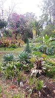 Orchideenwelt Quinta da Boa Vista &ndash; &copy; Katrin Deutschbein (Eberhardt TRAVEL)
