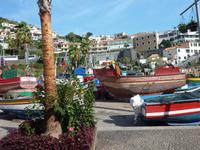in Camara de Lobos &ndash; &copy; Beate Keßler (Eberhardt TRAVEL)