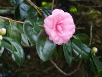 &copy; Beate Keßler (Eberhardt TRAVEL)