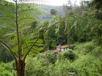 Levada-Wanderung &ndash; &copy; Anne Hiecke (Eberhardt TRAVEL)