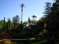 Im Garten 